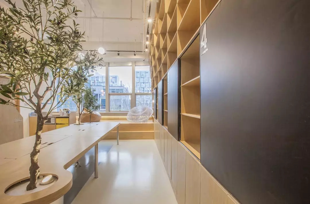 牛在墻上飛，猴子樹梢醉；這是在動物園辦公嗎？