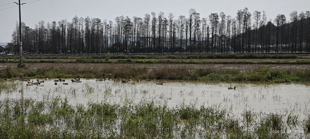 1732179454518564.jpg 54.jpg